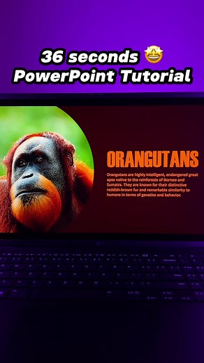 This PowerPoint animation tutorial is so hot it set my computer on fire 🔥🔥 #powerpoint #mspowerpoint 🔎power point presentation, morph tutorial