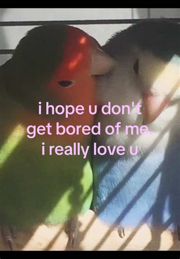 Expressing Love Through Moodboards and Birds