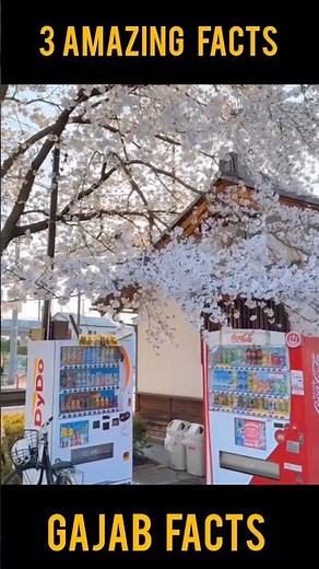 3 AMAZING FACTS OF JAPAN 🇯🇵😱 #trending #facts #viral #japan