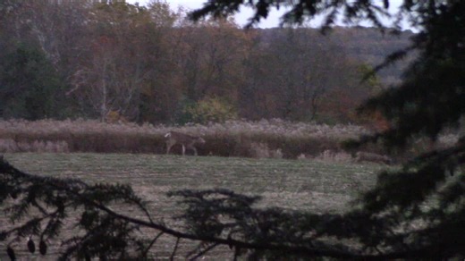 The boys are getting active. | Mark Landis