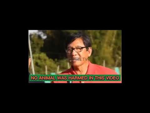 Jet Sweater Gamefarm (Jet Olauger)