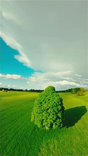 “Beautiful Green Nature View 🌿 Relaxing Scenery in Open Field” #shorts #youtubeshorts