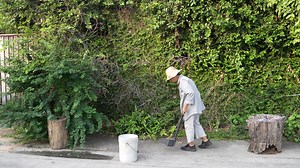 Download Old Asian woman takes care of plants in the garden of her home. for free