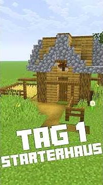 Tag 1 Starterhaus bauen | LarsLP #minecraft #viral