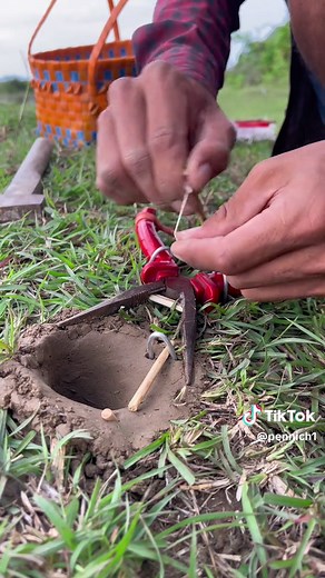 Simple Snake Trap for Survival Skills
