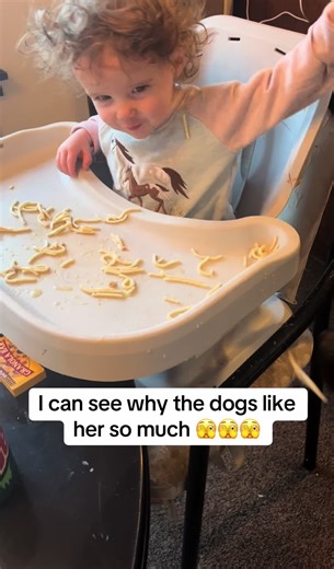 Adorable Laughing Baby and Dogs Interaction