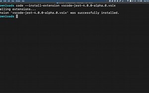 在VS Code中启用Jest代码覆盖率