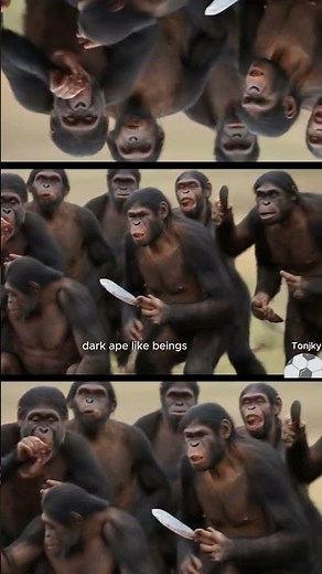 The First Stone - 2.4 million years ago