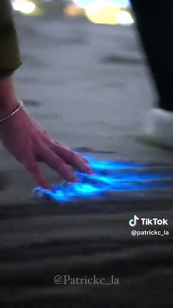 Bioluminescent Beach Magic in Manhattan Beach