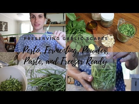 How to Preserve, Harvest, and Use Garlic Scapes | Five ways to maximize your harvest