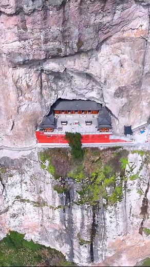 Joy (@nature_joy0)’s videos with original sound - kas_4u