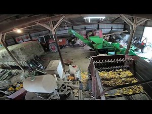 Cramped Loading Out Ear Corn