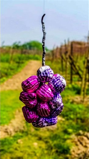 10 Bomb 💣 | #shorts #ytshorts #crackers #firecracker #pataka