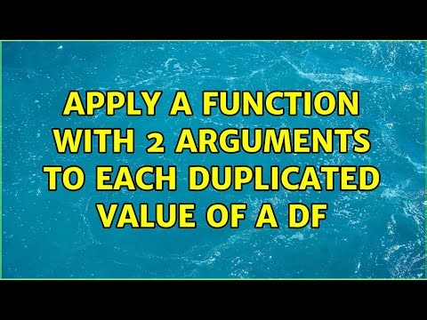 Apply a function with 2 arguments to each duplicated value of a df