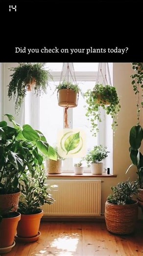 Join other plant parents on the "Rooted" app