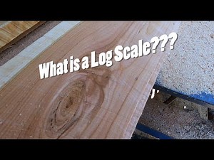 How much lumber will we get from this BEAUTIFUL cherry log???