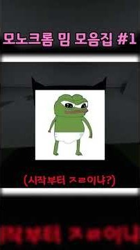 모노크롬 밈 모음집 #1