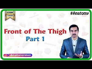 Anatomy Front of the thigh - Part 1 ( Dr.G.Bhanu Prakash )