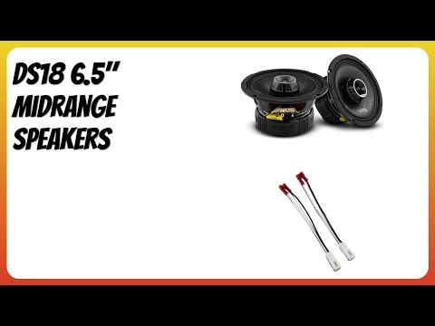 REVIEW (2026): DS18 6.5" Midrange Speakers. Features
