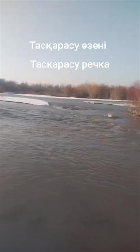 #Тасқарасу ауылы