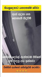 බුදු අම්මෝ 😲😲😲