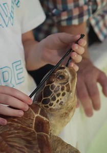 War on Waste: Australia S02:E01 - The Battle Continues (Pt. 1)