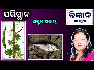 ପରିସ୍ଥାନ | Class 6 Science chapter 8 parisantha question answer odia medium