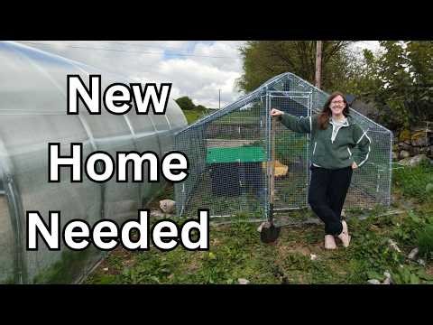 Building A New Home | Irish Cottage & Homesteading Journey