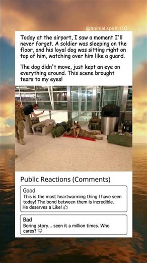 This dog's loyalty will bring tears to your eyes! 😭🐕