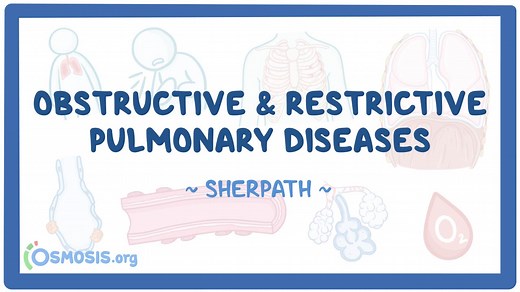 Obstructive vs Restrictive Pulmonary Disease: Video, Causes, & Meaning | Osmosis