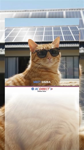 ☀️😎🐾 Meet Simba, soaking up the sun with solar! AC Direct makes solar simple, affordable & made for your home 🏡⚡ Reliable. Efficient. Always load-shedding ready. With AC Direct, sunshine becomes savings 🌞💸 👉 Shop Solar Deals Online It’s as easy as click, pay, install with FREE delivery nationwide 🚚 Wholesale prices direct to the public 🛒 #ACDirect #SolarSavings #LoadsheddingReady #SunshineToSavings #IndustryLeaders🥇 | ACDirect