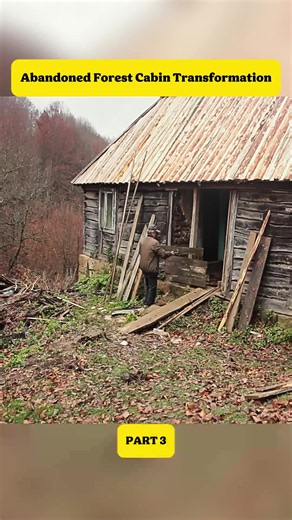 Abandoned Forest Cabin Transformation: Bushcraft Log Cabin Restore