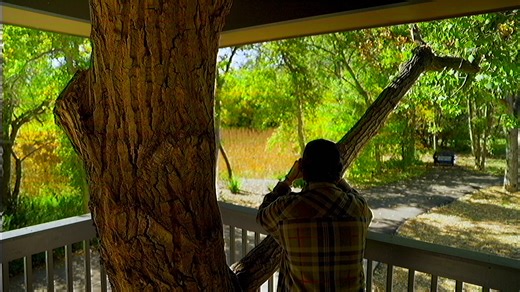 See you later, darlings | Logic