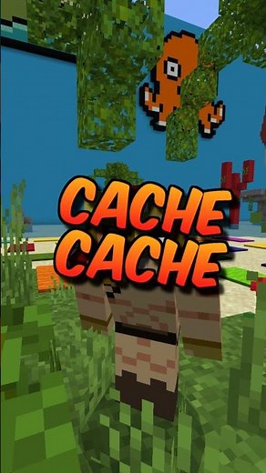 CACHE CACHE SUR MINECRAFT EN SHORT ! Épisode 1 ! #Shorts