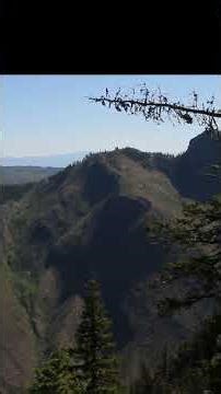 #clip Shorts Creek Canyon - Evely BC Canada #hiking #scenery #hikingadventure #nature #shorts