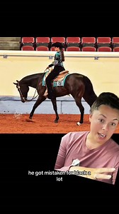 Basic horse colors explained with real life examples