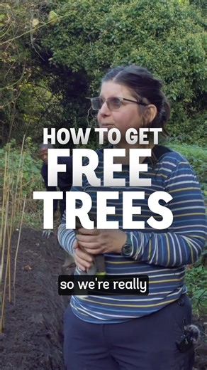 11K views · 78 reactions | Transform your community with free trees ✨...
