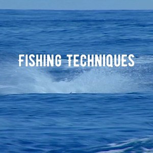 Fishing Techniques! Best Practices for Catching Blue Marlin Successful Blue Marlin fishing often involves trolling with artificial lures or rigged baitfish. Popular techniques include using teasers to attract fish closer to the boat and then switching to a hooked bait. Patience, the right gear, and respect for local regulations are crucial for a sustainable catch. | Spice Island Billfish Tournament