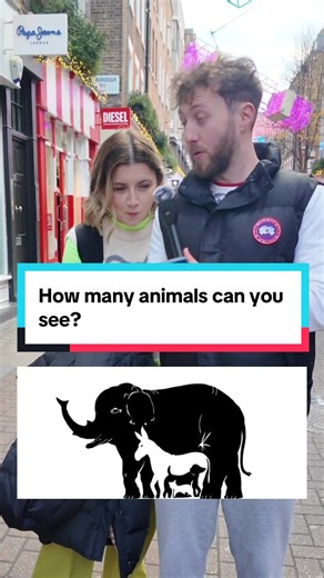 How many animals can you see? #streetinterview #streetinterviews #trivia @Kathryn | Wedding celebrant