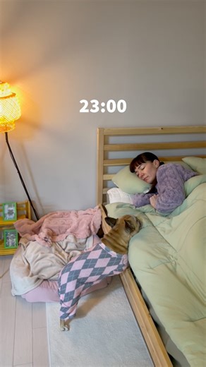Who can relate? 😅 . . #reelsdog #reelsviral #cutefrenchie #frenchbulldog #frenchie #funnydog #expectationvsreality #sleepingwithdogs #toofunny | Griffin Frenchie
