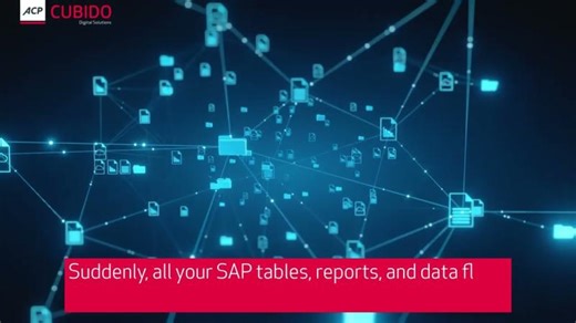 SAP MetaFlow Connector | Wolfgang Strasser