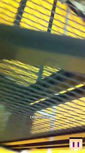 Welcome to this week’s episode of natural selection!!! | Crazy Videos