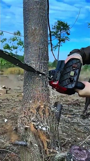 She Cuts Trees Like a Pro! 16'' Brushless Power Chainsaw Makes Logging Effortless 🔥🌲