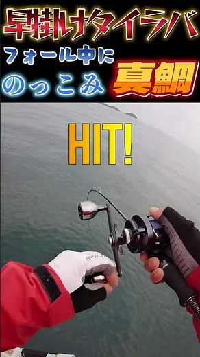 【早掛けタイラバ】#のっこみ真鯛#フォール中HIT!#真鯛ロジック #釣り #fishing#船釣り