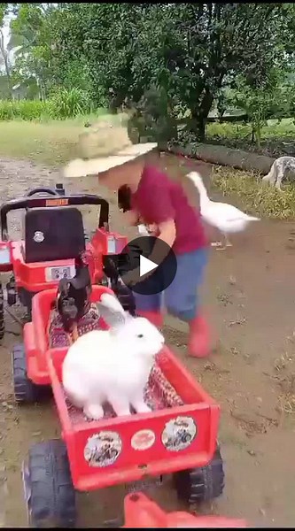 #responsibility #servant #accountability #leaders | Nimra Ikram