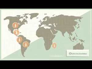 Forestry Carbon Credits: Make a Meaningful Impact on Our Environment