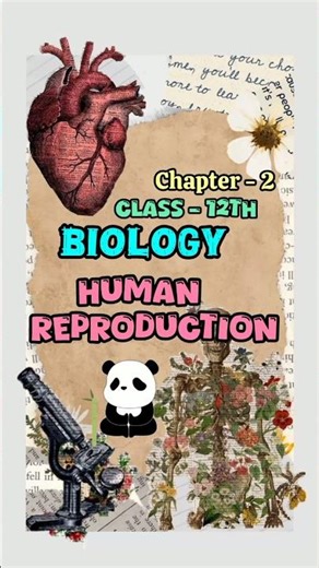 Human Reproduction #class12th #biology #notes 📝#board...👍 #chapter2