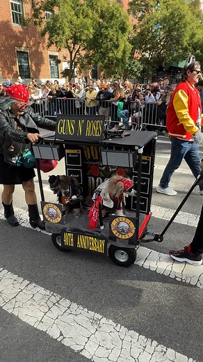 This legendary Guns N’ Roses 40th Anniversary pup just took FIRST PLACE at the Washington Square Park Halloween Dog Parade! 🏆🤯 | New York City Photos