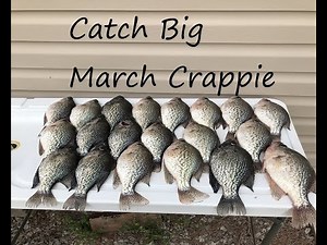 Simple tactics for Big March Crappie/Crappie Fishing in March/Tips,locations and lures for crappie