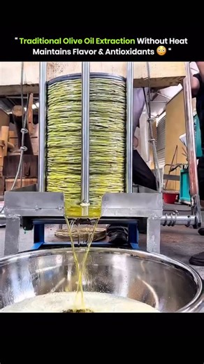 Explain everything 🧠 on Instagram: "Traditional olive oil extraction without heat maintains flavor antioxidants by using a slow hand pressing method. Fresh olives are crushed into a paste and pressed gently to separate oil from water and solids. No heat or chemicals are added, which keeps vitamins, polyphenols, and healthy fats intact. This process produces oil that supports heart health, digestion, and immunity while keeping the natural taste of olives. Handpressed olive oil is also suitable f